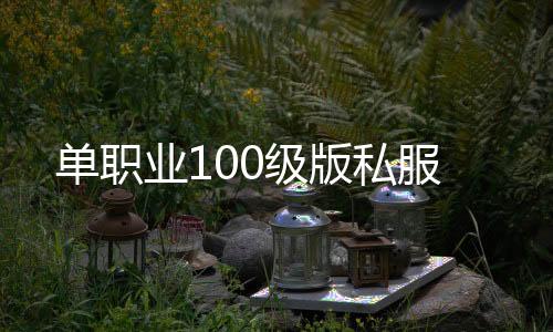 单职业100级版私服