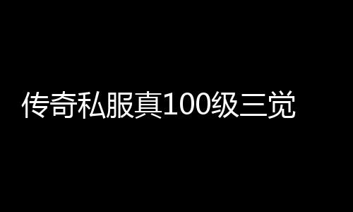 传奇私服真100级三觉单职业怎么玩,全新版本的传奇私服真100级三觉单职业推荐