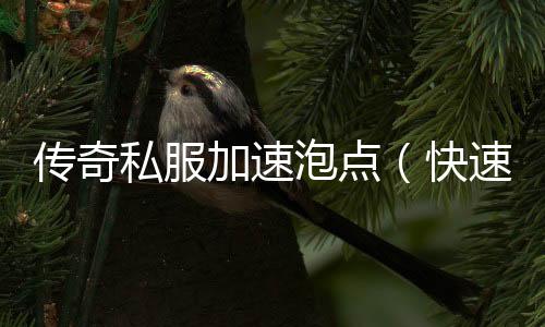 传奇私服加速泡点（快速获得游戏经验的方法）