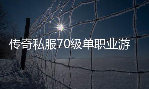 传奇私服70级单职业游戏推荐（体验最火爆的单职业版本）