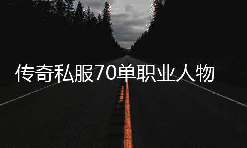 传奇私服70单职业人物（人物角色介绍及特点）