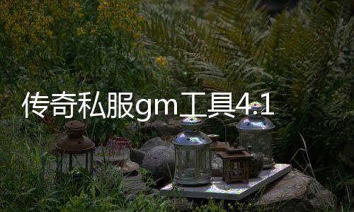 传奇私服gm工具4.1（地下城单职业）