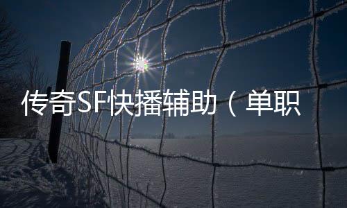 传奇SF快播辅助（单职业辅助官方）