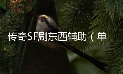 传奇SF刷东西辅助（单职业辅助app）