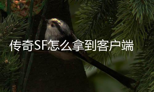 传奇SF怎么拿到客户端